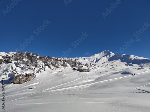 snow covered mountains