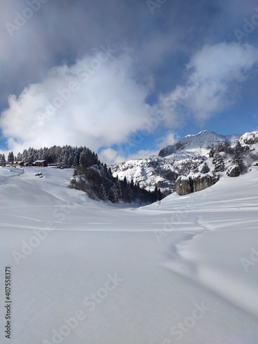 snow covered mountains