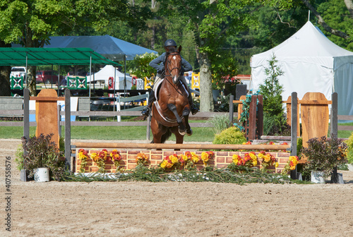 horse clearing jump