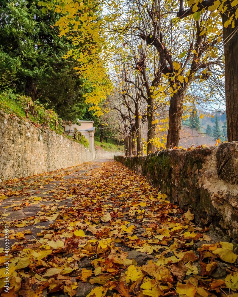 Naklejka premium autumn in the park