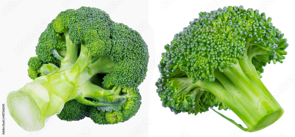 Fresh broccoli isolated on white background Fresh broccoli isolated on white background