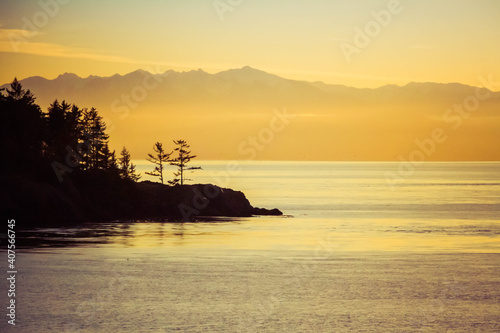 Pine trees standing on the coast with the Olympic Mountains in the distance during sunset.