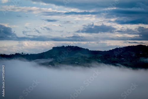 Magia, mañana y niebla matutina sobre el campo © ANDRES FELIPE