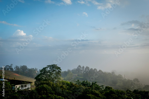 Magia, mañana y niebla matutina sobre el campo