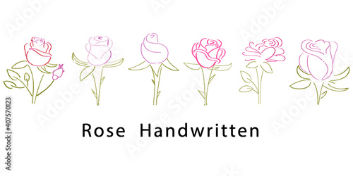 Rose floral blossom flower bouquet nature gift pink red green hand written paint drawing vector decoration ornament happy 14 fourteen valentine holiday pre wedding romantic.This illustration 