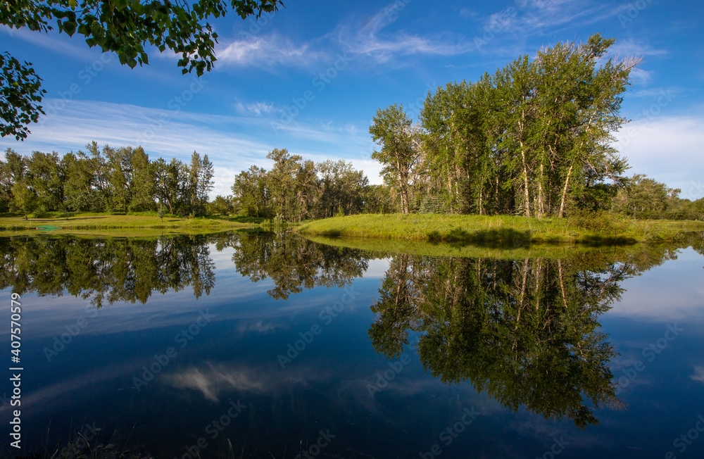 Obraz premium reflection of trees in water