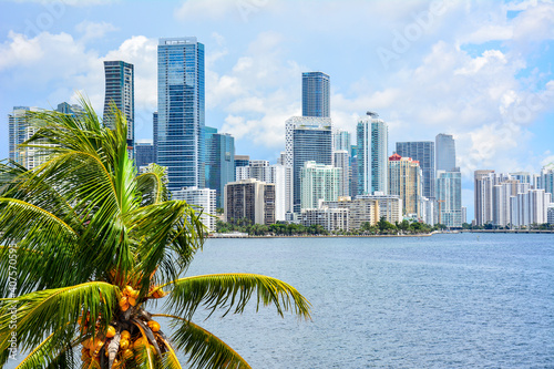 Downtown Miami condo skyline with palm tree along Biscayne Bay in Miami-Dade County, South Florida photo