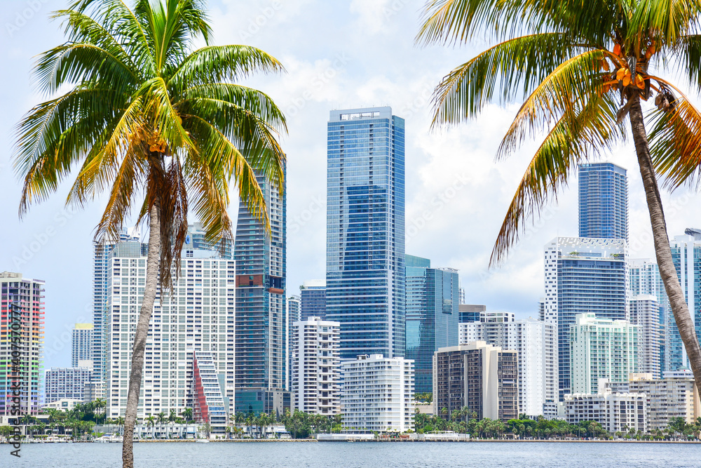 Naklejka premium High-rises crowd the downtown Miami skyline along waterfront seen through palm tress in South Florida, United States