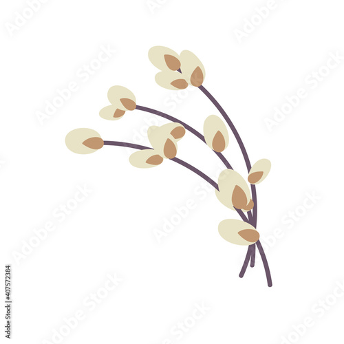  Willow twig isolated on a white background. Easter willow.Flat vector illustration. Design for Easter  packaging