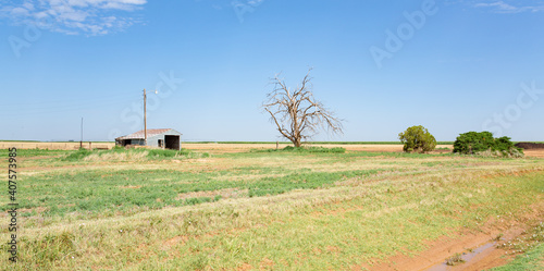 Countryside in Parmer County, Texas, USA photo