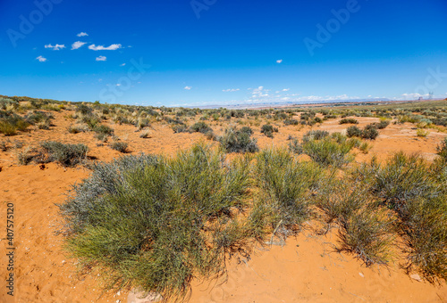 Desert Landscape in Arizona, United States