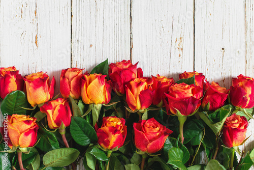 Red and yellow roses on white wooden background. Flat lay  top view  free copy space.