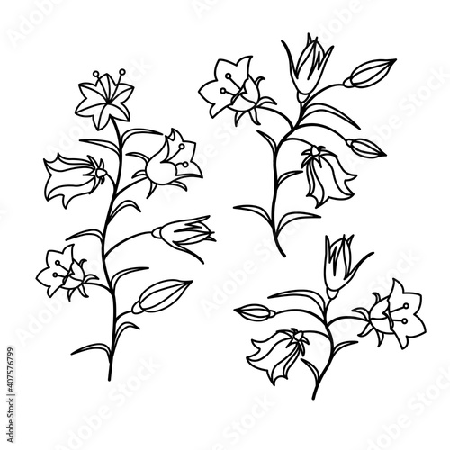 The flowers of the bell on a white isolated background. Vector illustration.