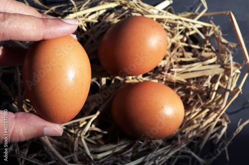 Chicken eggs on nest, close-up
