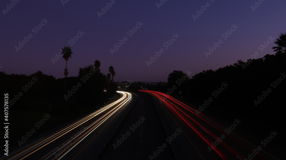 traffic at night California Palm Tree 