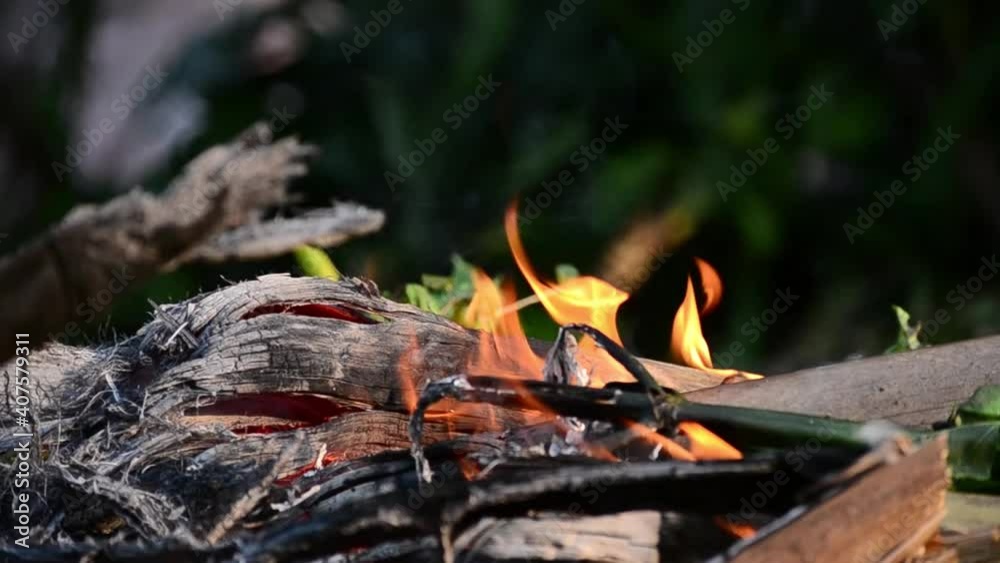 Wood burning. The fire burns wood to charcoal