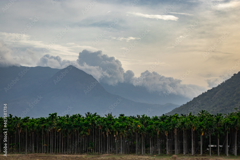 Green forest with mountain background Stock Photo | Adobe Stock
