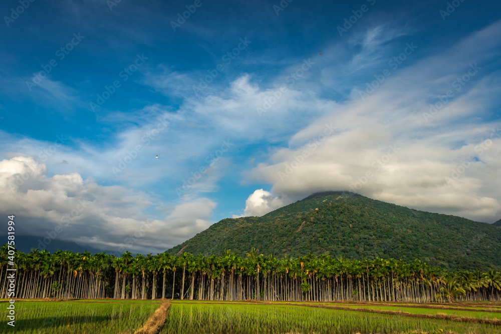 Mountains Velliangiri view with blue sky and green forest