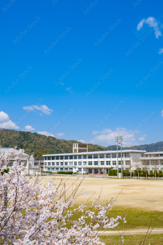 桜と学校　春　入学イメージ
