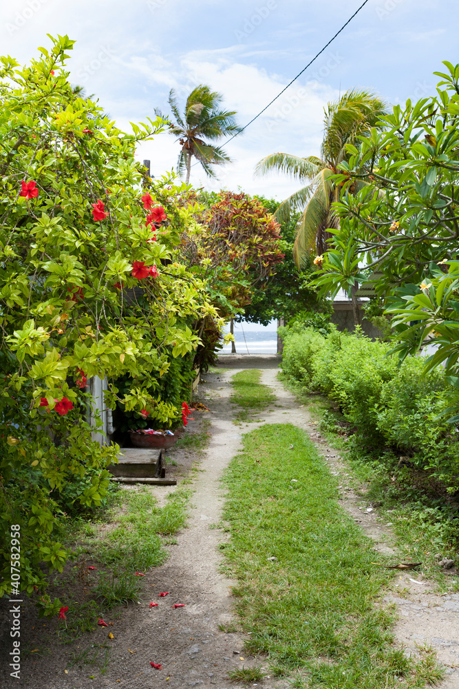 Naklejka premium beautiful alley in marshall island