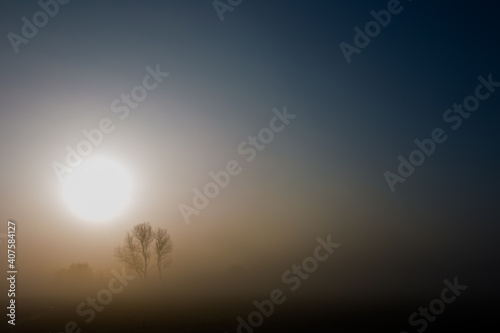 An einem kalten Wintertag scheint die Sonne durch dichten Nebel. Ein Baum wird durch die aufgehende Sonne beschienen.