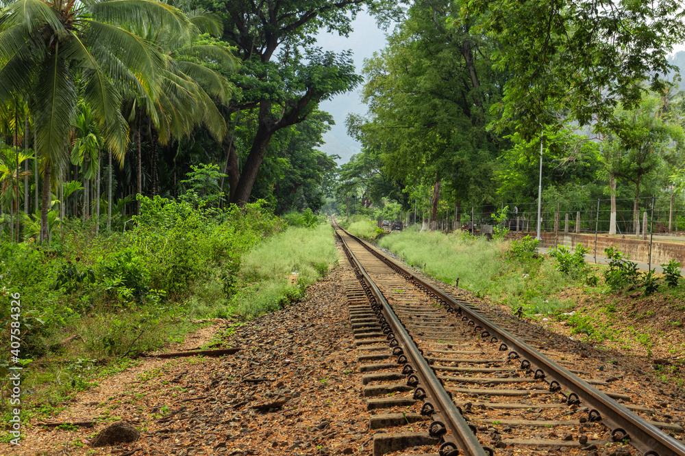 Obraz premium Isolated leading line railway tracks with tree