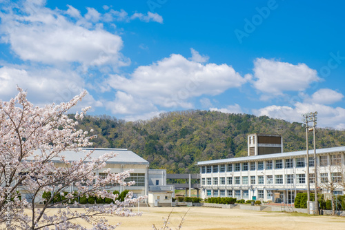 桜と学校 春 入学イメージ