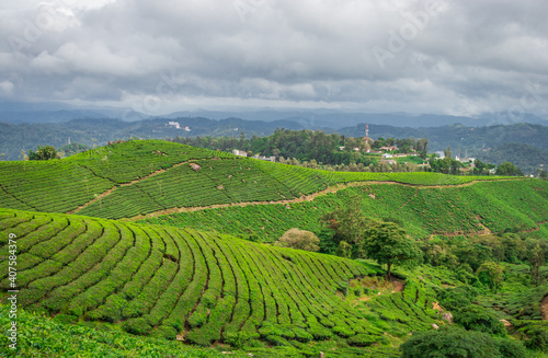 Tea gardens in the foothills of western ghat © explorewithinfo