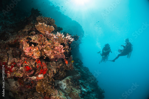 Fototapeta Naklejka Na Ścianę i Meble -  Scuba divers swimming among colorful reef ecosystems underwater, surrounded by schools of small tropical fish 