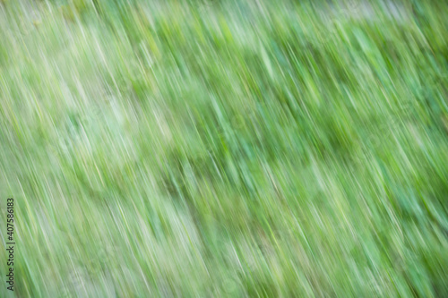 Green background from a motion shoot