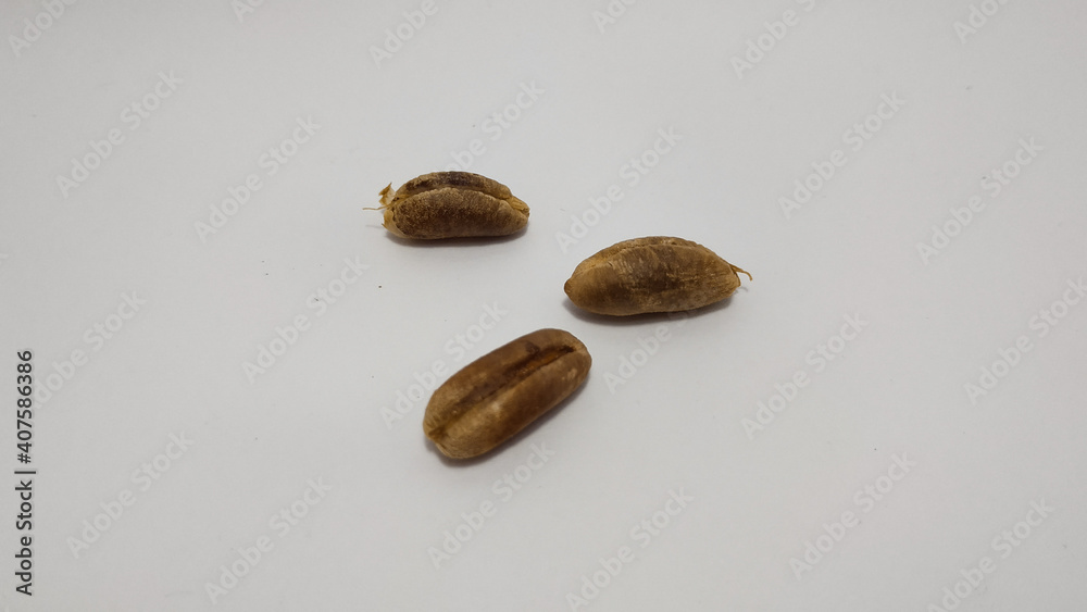 Some date seeds on white background Some date seeds on white background