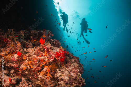 Fototapeta Naklejka Na Ścianę i Meble -  Scuba divers swimming among colorful reef ecosystems underwater, surrounded by schools of small tropical fish 