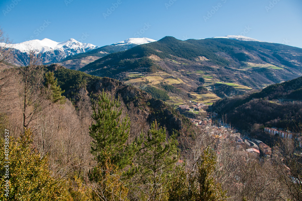 Bosque alpino en el Pirineo con las montañas nevadas de Fondo. Ruta de senderismo por Ribes de Freser i Queralbs