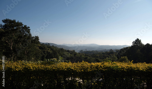 nature and landscapes Aerial view of morning mist at tropical ra