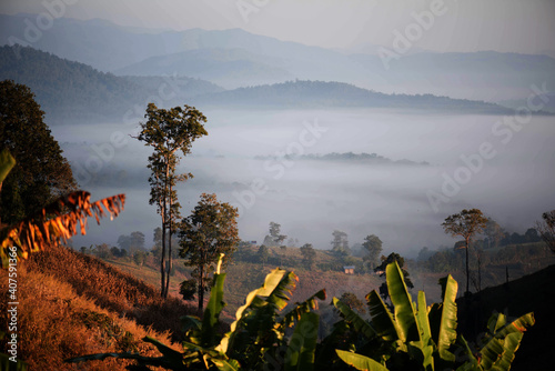 nature and landscapes Aerial view of morning mist at tropical ra