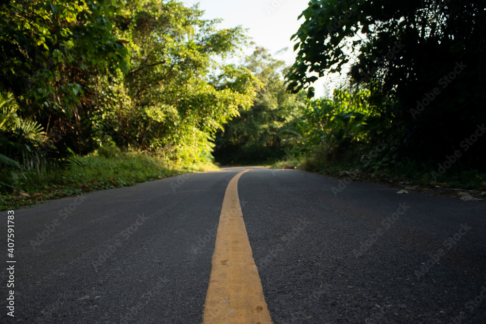 The paved road in the park