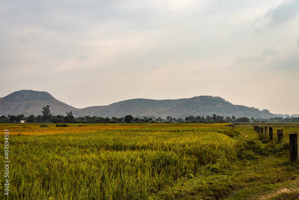 crop farming fields in countryside rural village area with mountain background