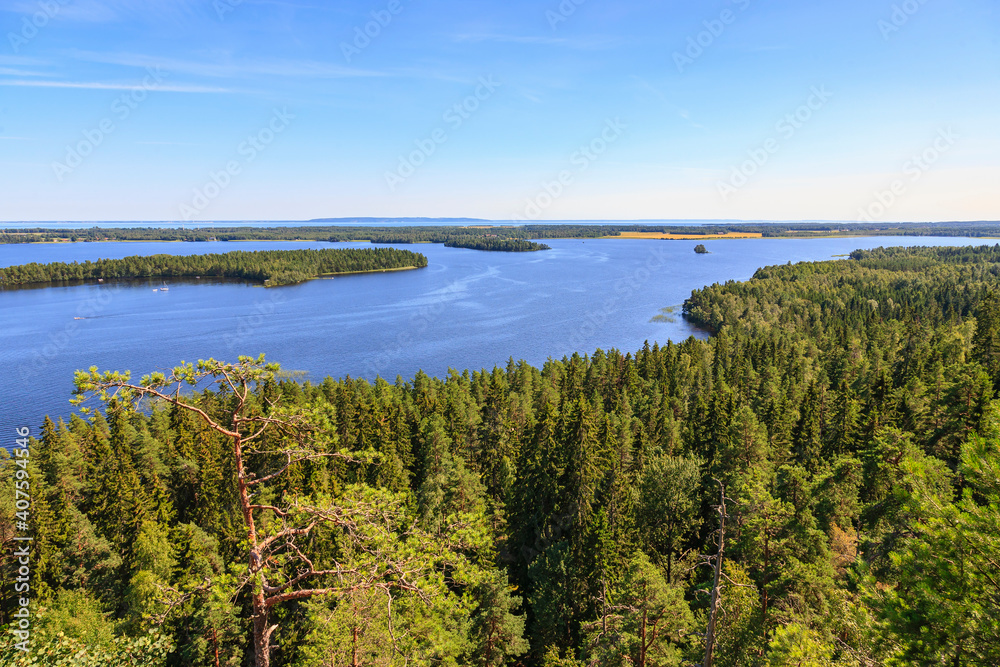View at a Lake with coniferous forest