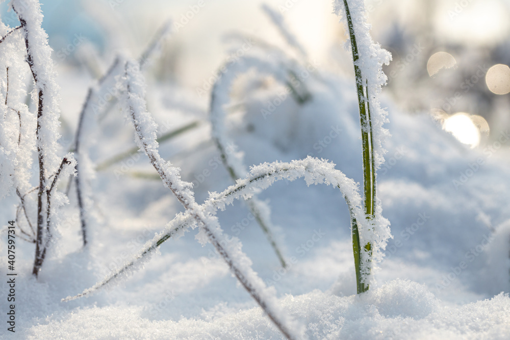 Beautiful day scene of riverbank with fluffy snow and hoary frost on the grass. Winter wonderland. Macro shot.