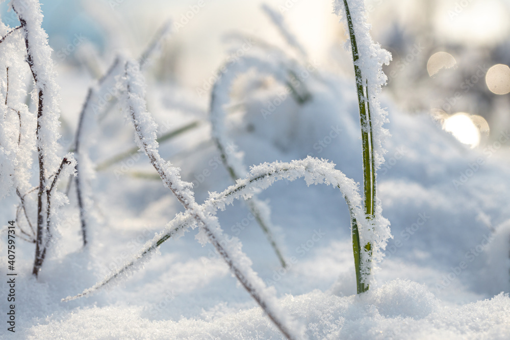 Beautiful day scene of riverbank with fluffy snow and hoary frost on the grass. Winter wonderland. Macro shot. Beautiful day scene of riverbank with fluffy snow and hoary frost on the grass. Winter wonderland. Macro shot.
