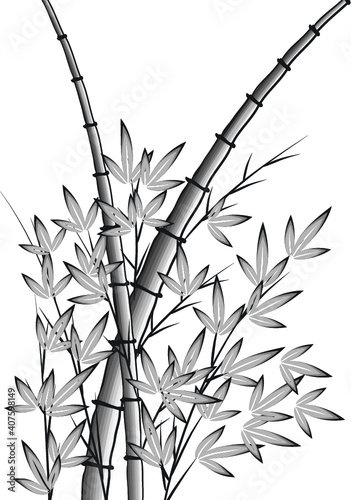 vector drawing bamboo 