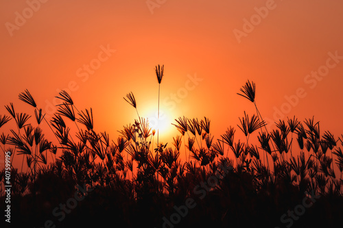 Fototapeta Naklejka Na Ścianę i Meble -  Teal orange landscape autumn sunset background.