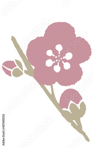 ルーズに描いた梅の花のイラストJapanese-style plum blossom illustration drawn loosely