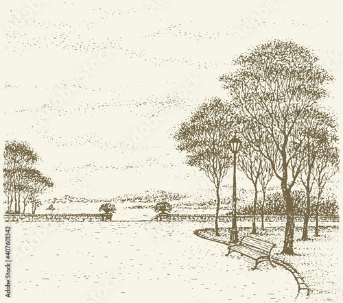 Park bench under the trees. Vector drawing