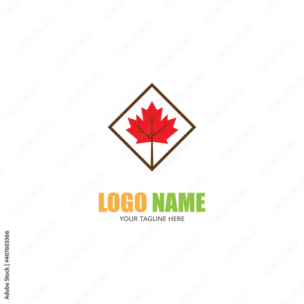 Obraz premium Maple leaf vector illustration design template
