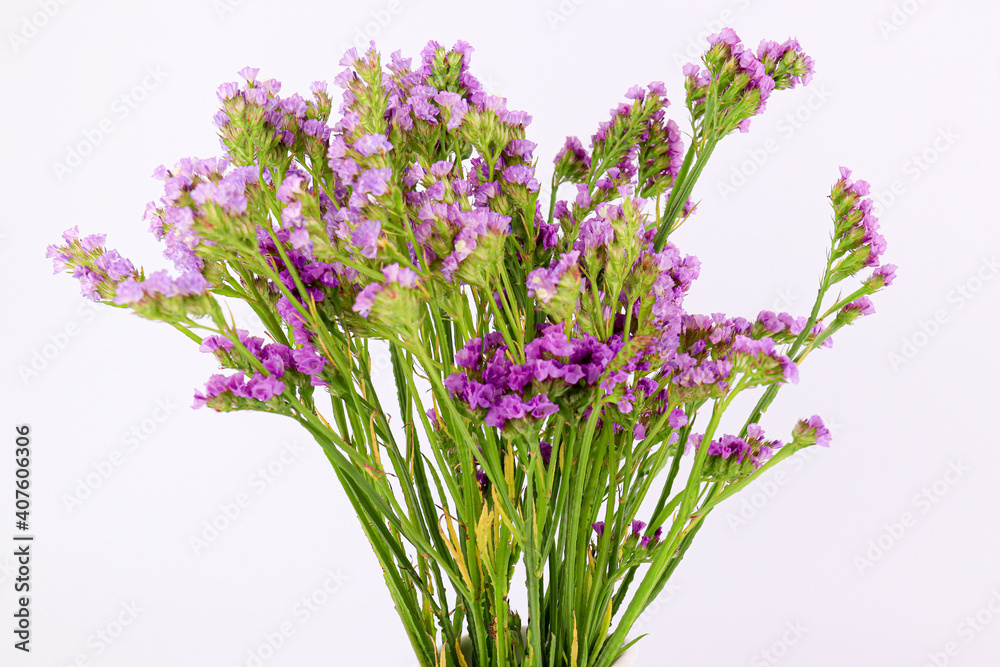 a bouquet of purple statice flower on white background a bouquet of purple statice flower on white background