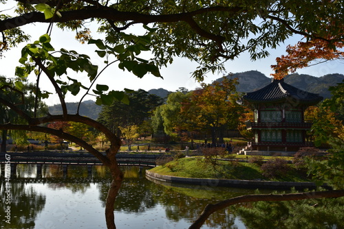 korean garden in autumn © Danni Dear