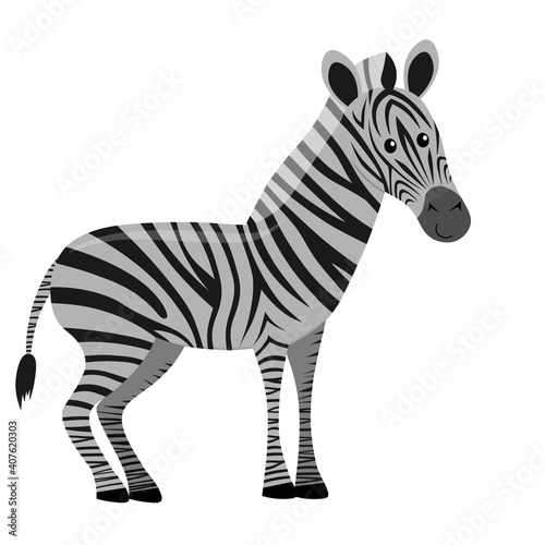 cute cartoon flat zebra from side  vector isolated on white  illustration for children
