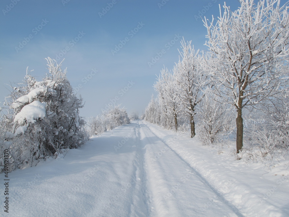Obraz premium Winter landscape at Neufeld an der Leitha, Burgenland,Austria,Europe 