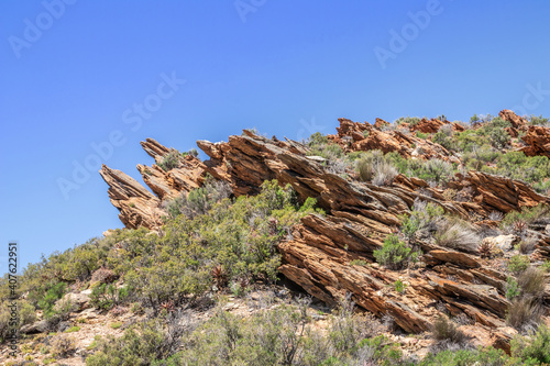 View of a Mountain range with large red rocky outcrops covered with lush green vegetation, Montagu Springs, Cape Town, South Africa photo